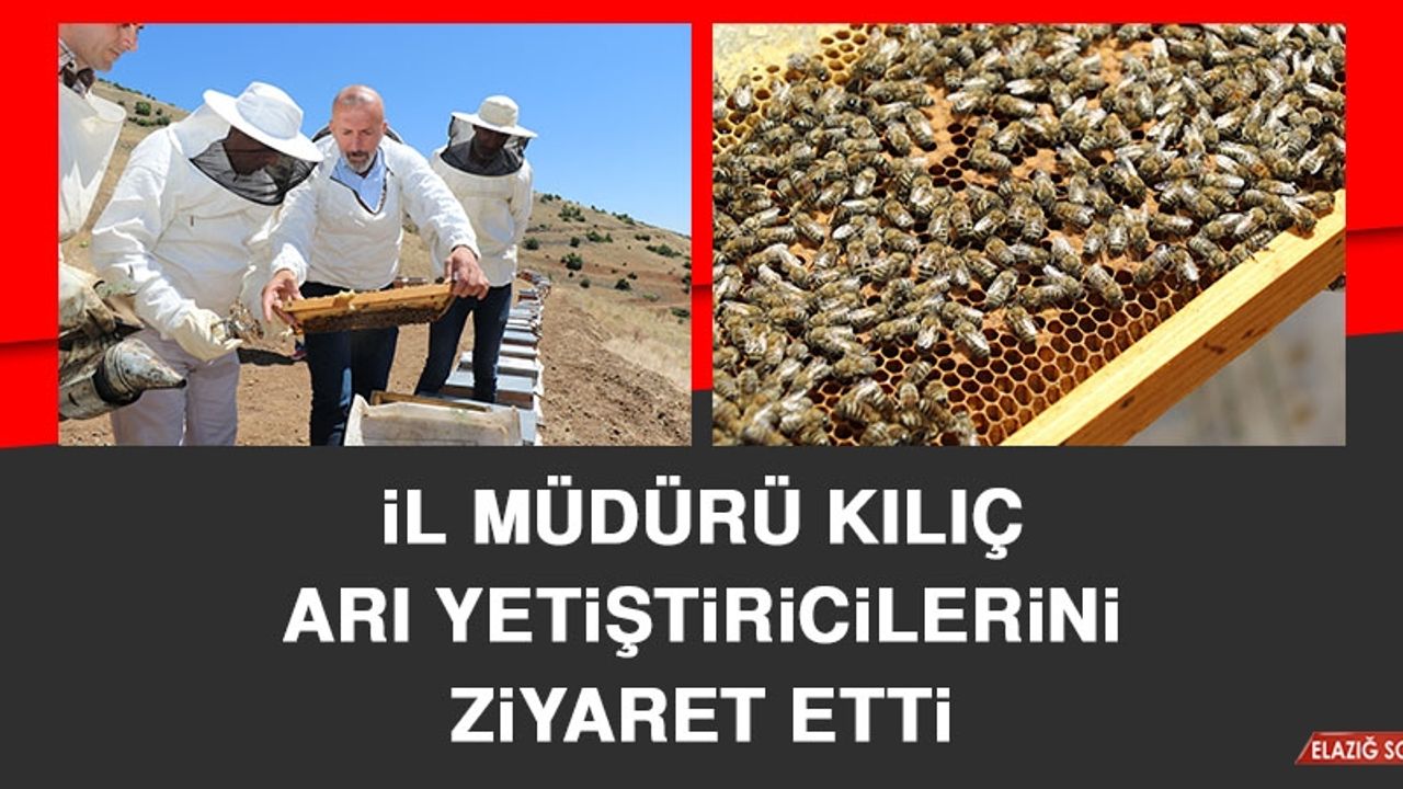 İl Müdürü Kılıç Arı Yetiştiricilerini Ziyaret Etti