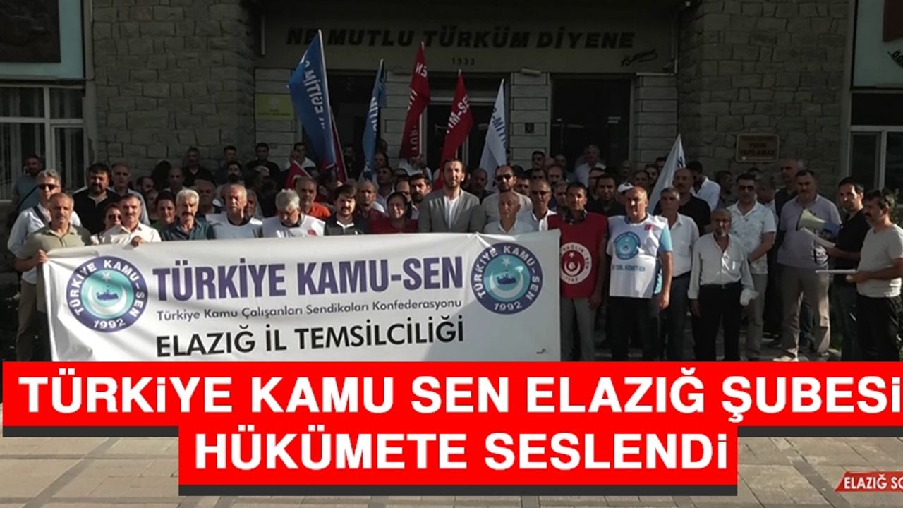 Türkiye Kamu Sen Elazığ Şubesi, Hükümete Seslendi