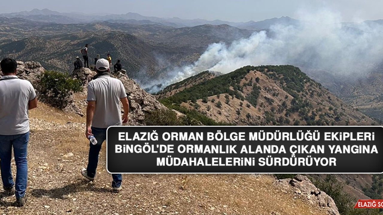 Elazığ’dan Giden Ekip Bingöl'de Çıkan Yangına Müdahalelerini Sürdürüyor