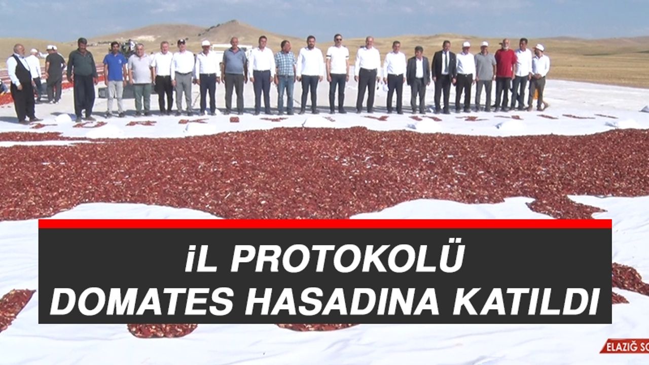 İl Protokolü İşçiler İle Birlikte Domates Topladı