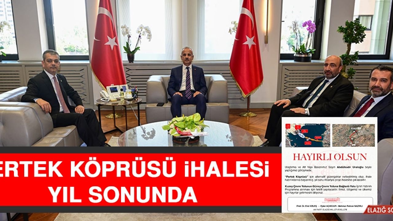 Pertek Köprüsü İhalesi Yıl Sonunda Yapılacak