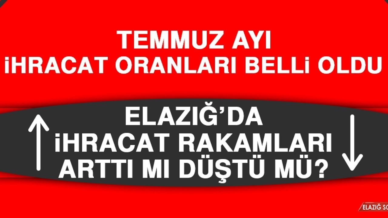 Temmuz Ayı İhracat Oranları Belli Oldu