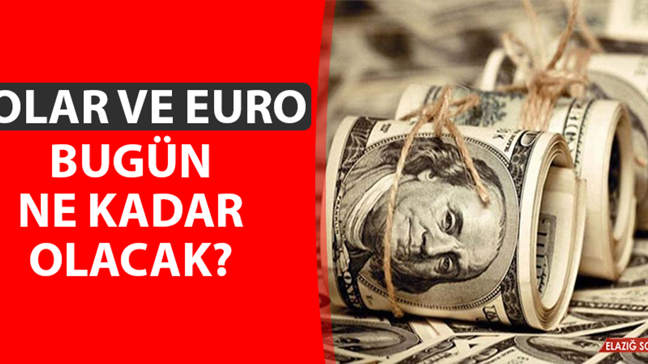8 Eylül Dolar ve Euro Fiyatları