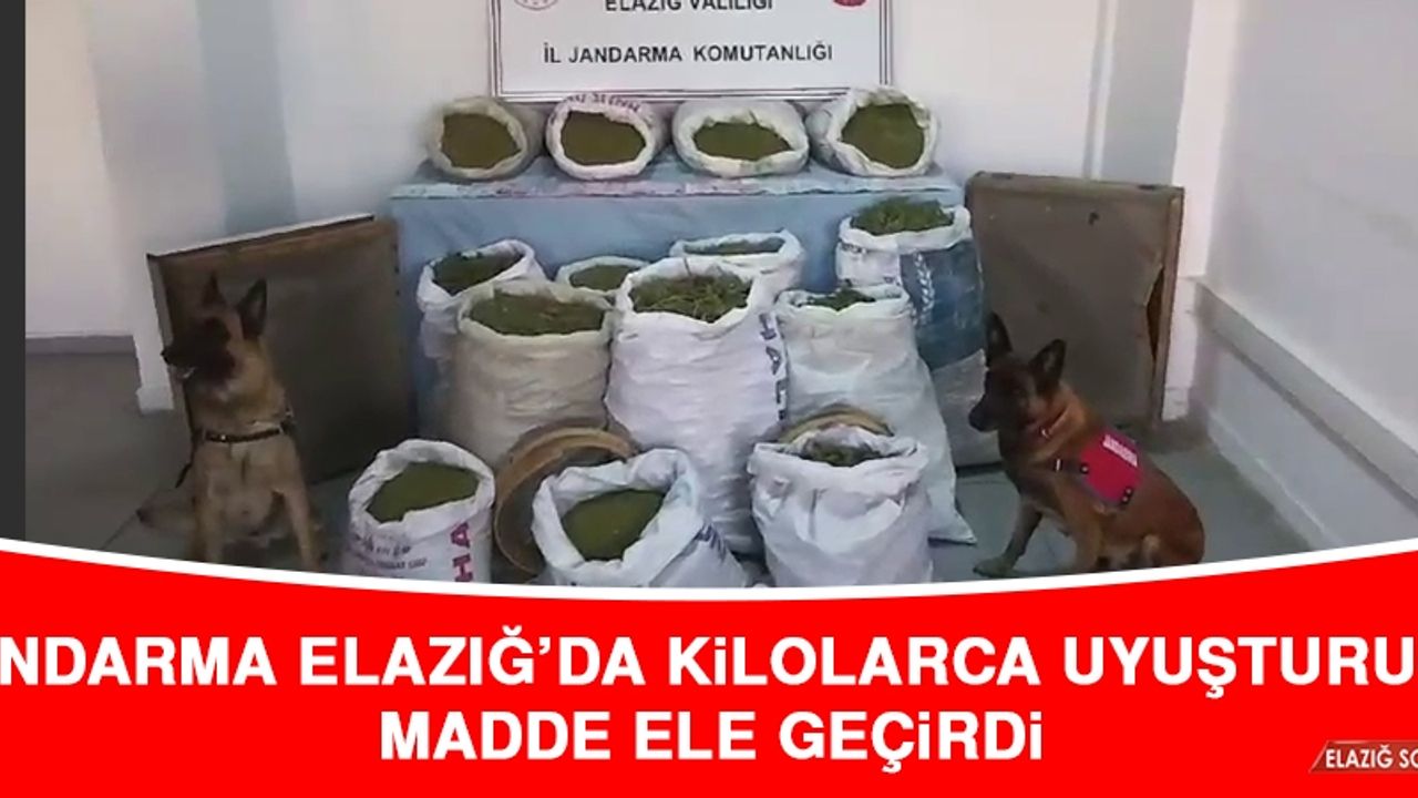 Jandarma Elazığ’da Kilolarca Uyuşturucu Madde Ele Geçirdi