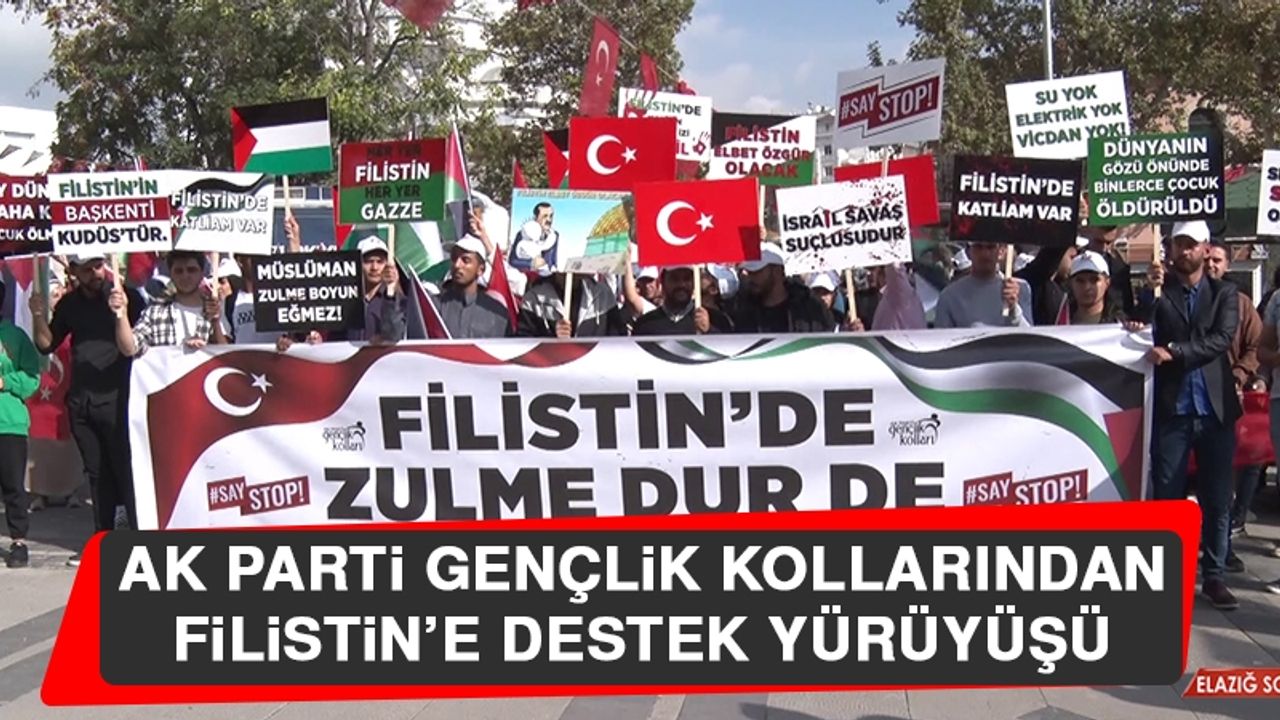 AK Parti Gençlik Kollarından Filistin’e Destek Yürüyüşü