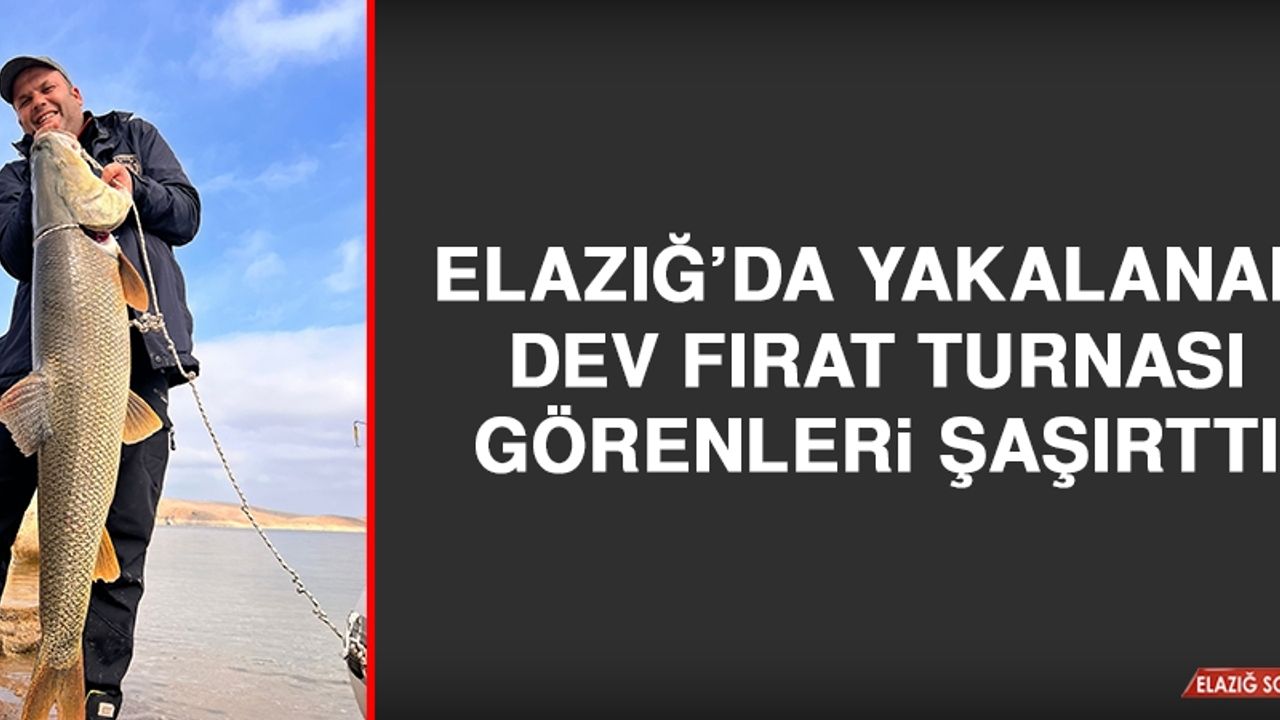Elazığ’da Yakalanan Dev Fırat Turnası Görenleri Şaşırttı