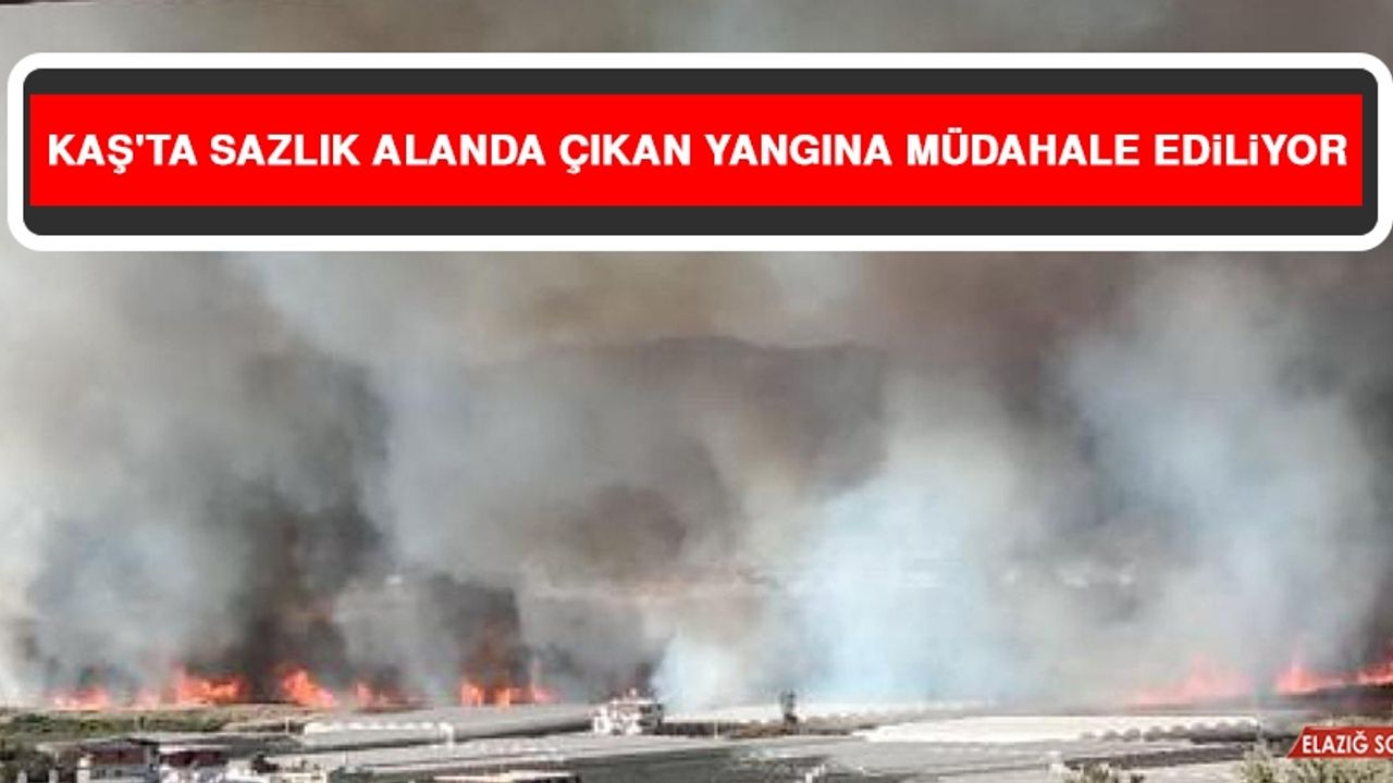 Kaş'ta Sazlık Alanda Çıkan Yangına Müdahale Ediliyor