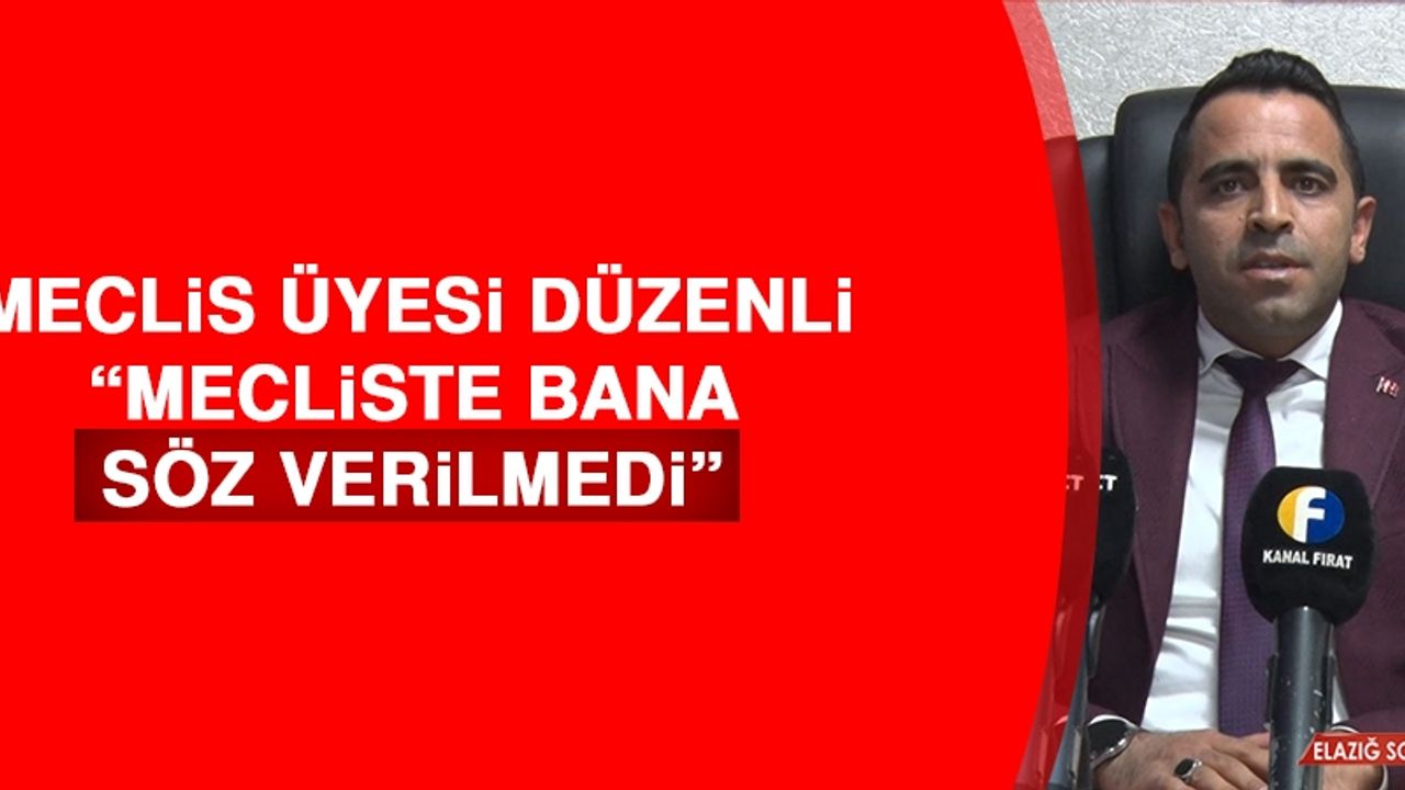 Meclis Üyesi Düzenli: Mecliste Bana Söz Verilmedi