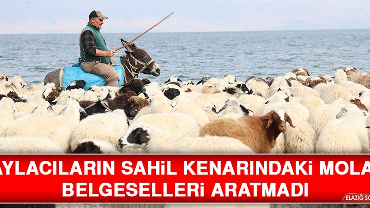Yaylacıların Sahil Kenarındaki Molası Belgeselleri Aratmadı