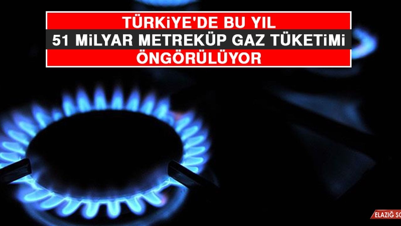 Türkiye'de Bu Yıl 51 Milyar Metreküp Gaz Tüketimi Öngörülüyor