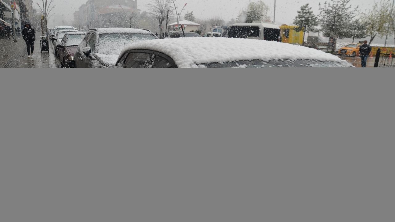 Muş ve Bitlis'te kar yağışı etkili oldu
