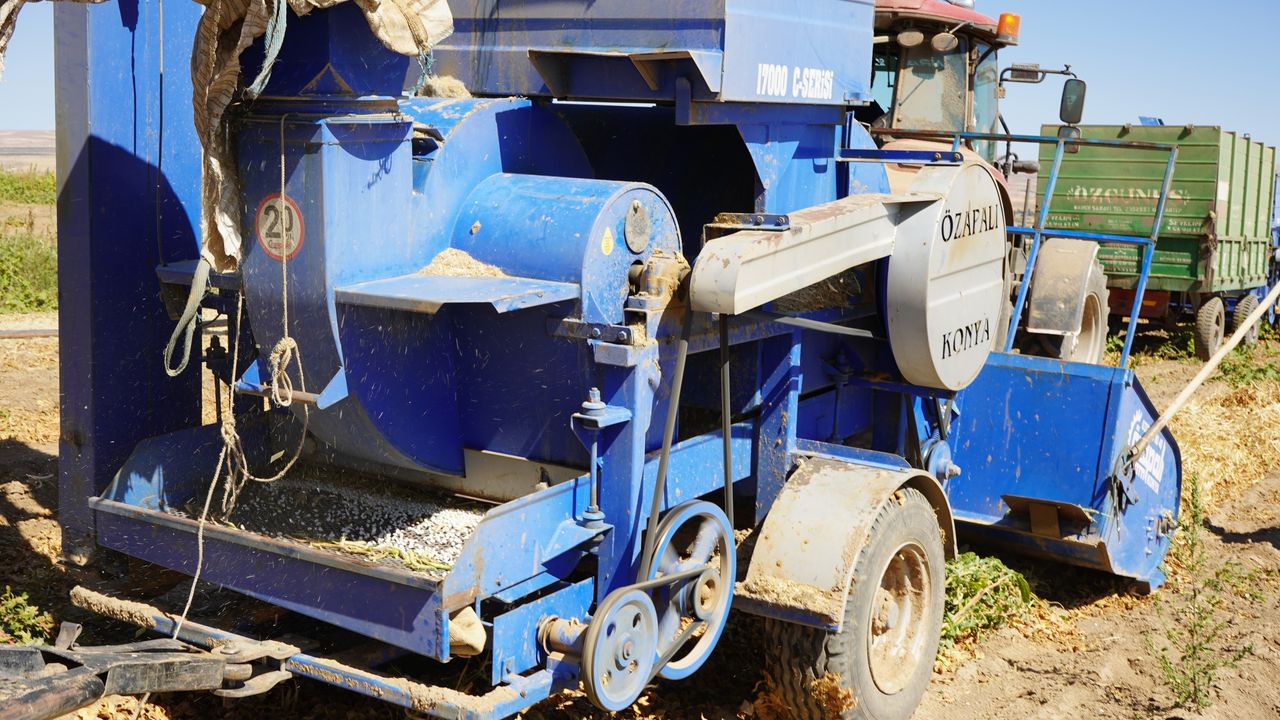 Bitlis'te kuru fasulye hasadı başladı