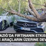 Elazığ’da Fırtınanın Etkisiyle Ağaç Araçların Üzerine Devrildi