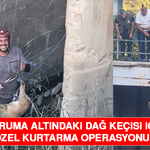 Koruma Altındaki Dağ Keçisi İçin Özel Kurtarma Operasyonu