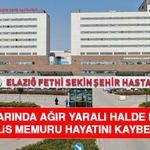 Yol Kenarında Ağır Yaralı Halde Bulunan Polis Memuru Hayatını Kaybetti