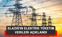 Elazığ'ın Elektrik Tüketim Verileri Açıklandı