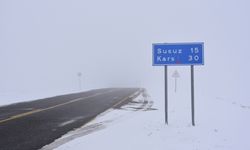 Kars'ta etkili olan kar ve sis kara yollarında ulaşımı aksattı