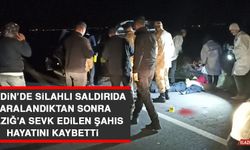 Mardin’de Silahlı Saldırıda Yaralandıktan Sonra Elazığ’a Sevk Edilen Şahıs Hayatını Kaybetti