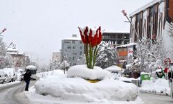 Van, Bitlis, Hakkari ve Muş'ta 1120 yerleşim biriminin yolu kar nedeniyle kapandı