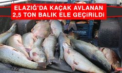 Elazığ’da Kaçak Avlanan 2,5 Ton Balık Ele Geçirildi  