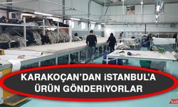 Karakoçan’dan İstanbul’a Ürün Gönderiyorlar