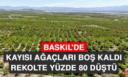 Baskil'de Kayısı Ağaçları Boş Kaldı Rekolte Yüzde 80 Düştü