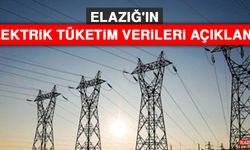 Elazığ'ın Elektrik Tüketim Verileri Açıklandı