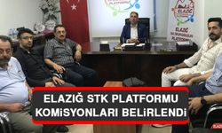 Elazığ STK Platformu Komisyonları Belirlendi