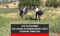 STK Platformu Cip, Hazar ve Keban Baraj Gölü Etrafını Temizledi