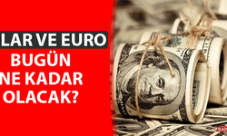 15 Ağustos Dolar ve Euro Fiyatları