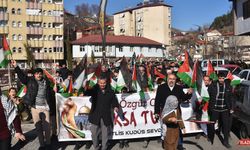 Bitlis’te ‘Filistin İçin Yürüyoruz’ Etkinliği Düzenlendi  