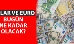17 Ocak Çarşamba Dolar ve Euro Fiyatları