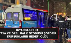 Diyarbakır’da Yaya Ve Özel Halk Otobüsü Şoförü Kurşunların Hedefi Oldu
