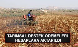 Tarımsal Destek Ödemeleri Hesaplara Aktarıldı