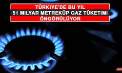 Türkiye'de Bu Yıl 51 Milyar Metreküp Gaz Tüketimi Öngörülüyor