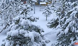 Van Erciş’te Kar Yağışı Etkili Oldu