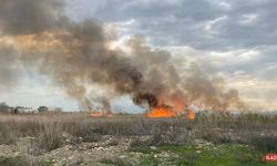 Antalya’da Sazlık Alanda Çıkan Yangın Korkuttu 