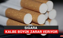 Sigara Kalbe Büyük Zarar Veriyor