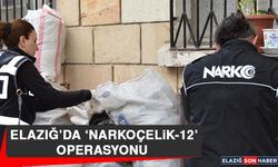 Elazığ’da ‘Narkoçelik-12’ Operasyonu