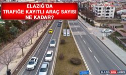 Elazığ’da Trafiğe Kayıtlı Araç Sayısı Ne Kadar?