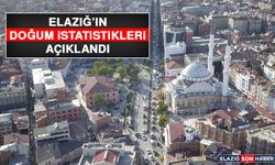 Elazığ’ın Doğum İstatistikleri Açıklandı