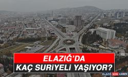 Elazığ’da Kaç Suriyeli Yaşıyor?