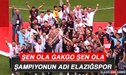 Elazığspor - 52 Orduspor Final Maçı
