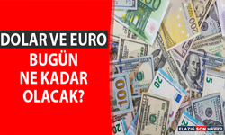 17 Mayıs Dolar ve Euro Fiyatları