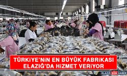 Türkiye’nin En Büyük Fabrikası Elazığ’da