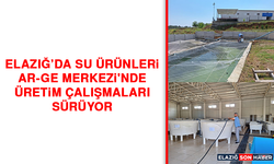Elazığ’da Su Ürünleri Ar-Ge Merkezi'nde Üretim Çalışmaları Sürüyor
