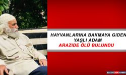 Elazığ’da Hayvanlarına Bakmaya Giden Yaşlı Adam Arazide Ölü Bulundu