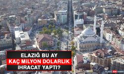 Elazığ Bu Ay Kaç Milyon Dolarlık İhracat Yaptı?