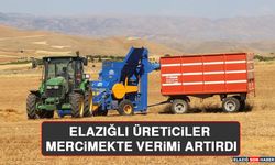 Elazığlı Üreticiler Mercimekte Verimi Artırdı