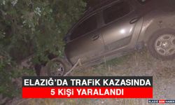 Elazığ’da Trafik Kazasında 5 Kişi Yaralandı